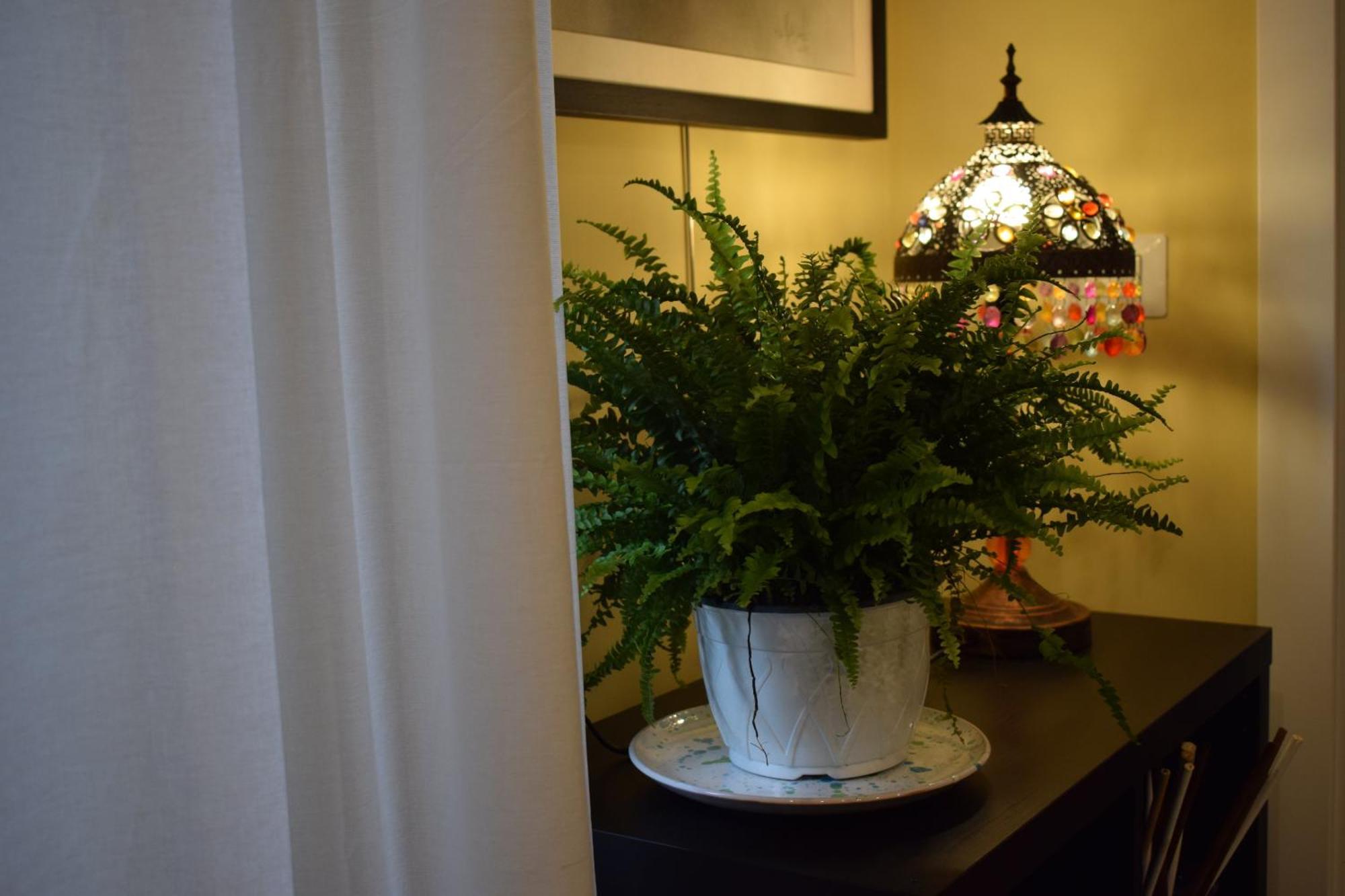 La Dimora Dell'Arte Bed & Breakfast Bari Bagian luar foto